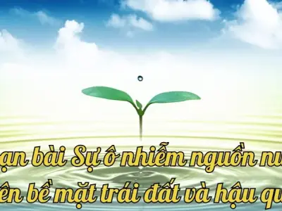 Soạn bài Sự ô nhiễm nguồn nước trên bề mặt trái đất và hậu quả - Ngữ văn lớp 12 Chân trời sáng tạo (Tập 2)