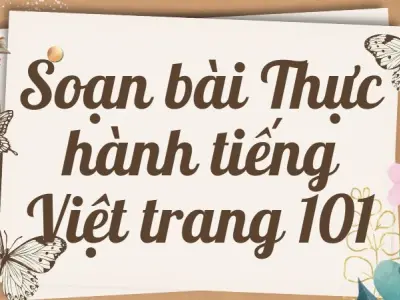 Soạn bài Thực hành tiếng Việt trang 101 - Kết nối tri thức Lớp 9