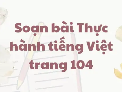 Soạn bài Thực hành tiếng Việt trang 104 - Ngữ văn lớp 9 Chân trời sáng tạo (Tập 2)