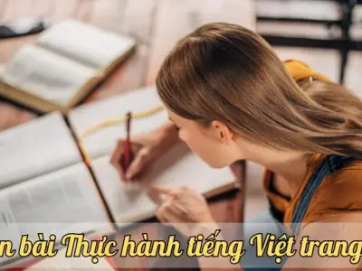 Soạn bài Thực hành tiếng Việt trang 138 - Ngữ văn lớp 9 Chân trời sáng tạo (Tập 1)