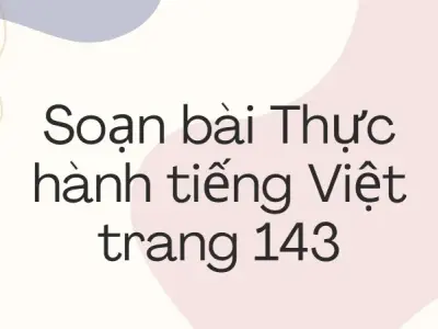 Soạn bài Thực hành tiếng Việt trang 143 - Ngữ văn lớp 12 Chân trời sáng tạo (Tập 1)