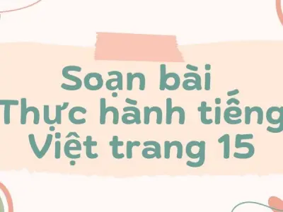 Soạn bài Thực hành tiếng Việt trang 15 - Kết nối tri thức Lớp 9