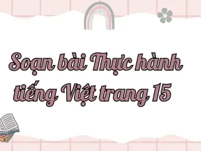Soạn bài Thực hành tiếng Việt trang 15 - Ngữ văn lớp 9 Chân trời sáng tạo (Tập 2)