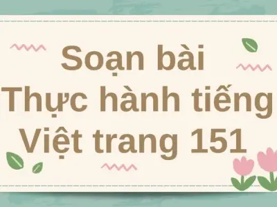 Soạn bài Thực hành tiếng Việt trang 151 - Cánh diều 12