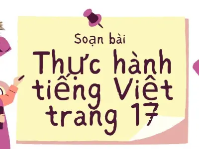 Soạn bài Thực hành tiếng Việt trang 17 - Kết nối tri thức lớp 9 