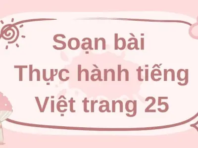 Soạn bài Thực hành tiếng Việt trang 25 - Cánh diều 12