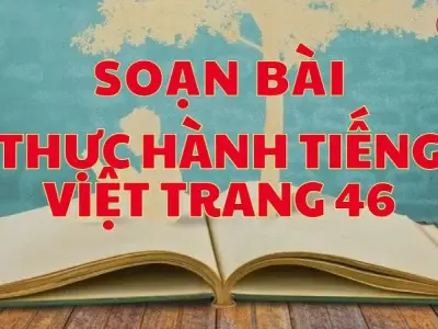 Soạn bài Thực hành tiếng Việt trang 46 - Kết nối tri thức Lớp 9