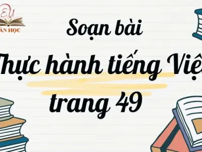 Soạn bài Thực hành tiếng Việt trang 49 - Kết nối tri thức Lớp 9