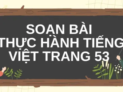 Soạn bài Thực hành tiếng Việt trang 53 - Cánh diều 12
