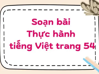 Soạn bài Thực hành tiếng Việt trang 54 - Kết nối tri thức Lớp 9
