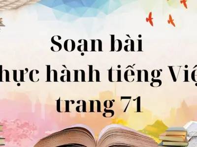 Soạn bài Thực hành tiếng Việt trang 71 - Cánh diều 12