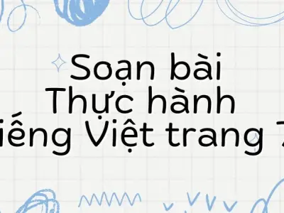 Soạn bài Thực hành tiếng Việt trang 71 - Kết nối tri thức 9