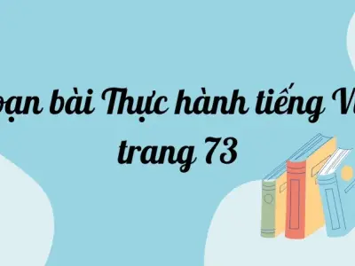 Soạn bài Thực hành tiếng Việt trang 73 - Ngữ văn lớp 12 Chân trời sáng tạo (Tập 2)