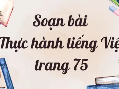 Soạn bài Thực hành tiếng Việt trang 75 - Kết nối tri thức Lớp 9