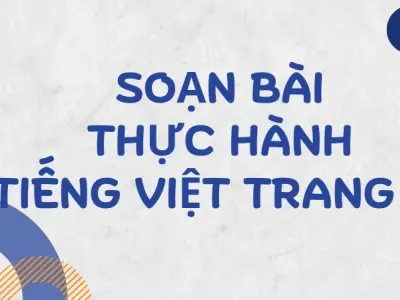 Soạn bài Thực hành tiếng Việt trang 76 - Kết nối tri thức Lớp 9