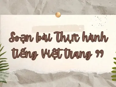 Soạn bài Thực hành tiếng Việt trang 99 - Ngữ văn lớp 12 Chân trời sáng tạo (Tập 2)
