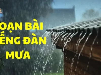 Soạn bài Tiếng đàn mưa - Kết nối tri thức Lớp 9