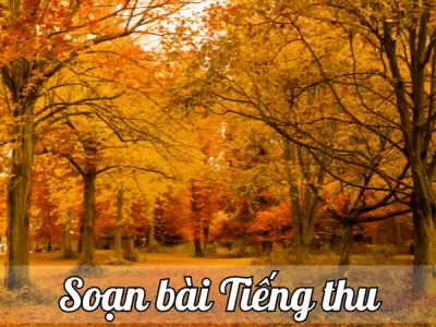 Soạn bài Tiếng thu - Ngữ văn lớp 12 chân trời sáng tạo (Tập 1)