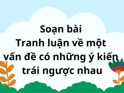 Soạn bài Tranh luận về một vấn đề có những ý kiến trái ngược nhau - Cánh diều 12