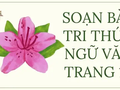 Soạn bài Tri thức Ngữ văn trang 12 - Cánh diều 12