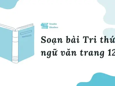 Soạn bài Tri thức ngữ văn trang 125 - Ngữ văn lớp 12 chân trời sáng tạo (Tập 1)
