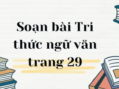 Soạn bài Tri thức ngữ văn trang 29 - Ngữ văn lớp 12 chân trời sáng tạo (Tập 1)