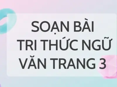 Soạn bài Tri thức Ngữ văn trang 3