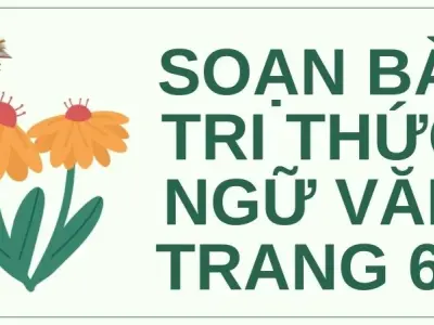 Soạn bài Tri thức ngữ văn trang 65 - Kết nối tri thức Lớp 9