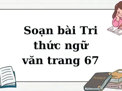 Soạn bài Tri thức ngữ văn trang 67 - Ngữ văn lớp 12 chân trời sáng tạo (Tập 1)