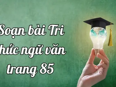 Soạn bài Tri thức ngữ văn trang 85 - Ngữ văn lớp 12 Chân trời sáng tạo (Tập 2)