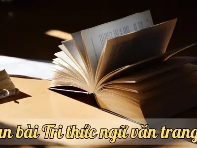Soạn bài Tri thức ngữ văn trang 88 - Ngữ văn lớp 9 chân trời sáng tạo (Tập 1)