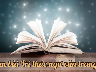 Soạn bài Tri thức ngữ văn trang 99 - Ngữ văn lớp 12 chân trời sáng tạo (Tập 1)