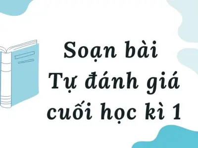 Soạn bài Tự đánh giá cuối học kì 1 - Cánh diều 12