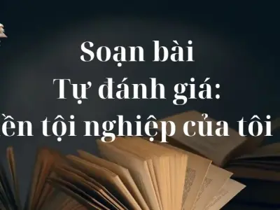 Soạn bài Tự đánh giá: Tiền tội nghiệp của tôi ơi - Cánh diều 12