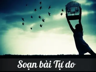 Soạn bài Tự do - Ngữ văn lớp 12 Chân trời sáng tạo (Tập 2)