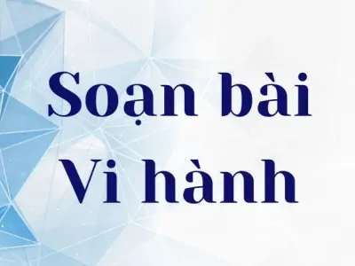 Soạn bài Vi hành - Cánh diều 12