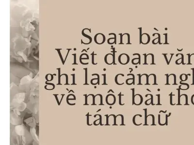 Soạn bài Viết đoạn văn ghi lại cảm nghĩ về một bài thơ tám chữ - Kết nối tri thức Lớp 9