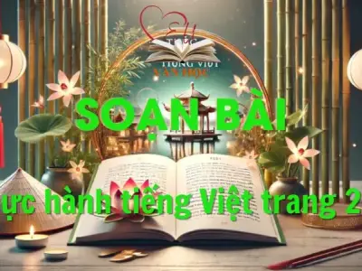Soạn bài Thực hành tiếng Việt trang 26 - Ngữ văn 12 tập 1 - Kết nối tri thức