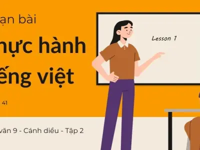 Soạn bài Thực hành tiếng Việt trang 41 - Ngữ văn 9 - Cánh diều