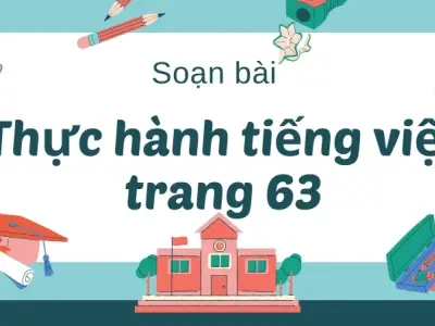 Soạn bài Thực hành tiếng Việt trang 63 - Ngữ văn 9 - Cánh diều