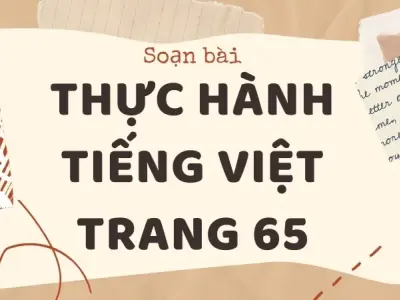 Soạn bài Thực hành tiếng Việt trang 65 - Ngữ văn 9 - Cánh diều