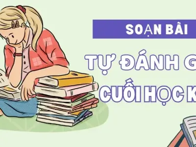 Soạn bài Tự đánh giá cuối học kì 1 - Ngữ văn 9 - Cánh diều