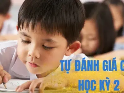 Soạn bài tự đánh giá cuối học kì 2 - Ngữ văn 9 - Cánh diều
