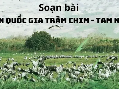 Soạn bài Vườn quốc gia Tràm Chim - Tam Nông - Ngữ văn 9 - Cánh diều