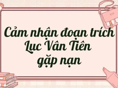 Học tốt văn lớp 9: Cảm nhận đoạn trích Lục Vân Tiên gặp nạn