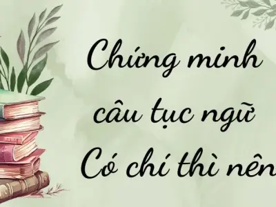 Tổng hợp bài văn mẫu chứng minh câu tục ngữ Có chí thì nên