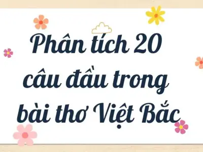 Phân tích 20 câu đầu trong bài thơ Việt Bắc lớp 12 hay