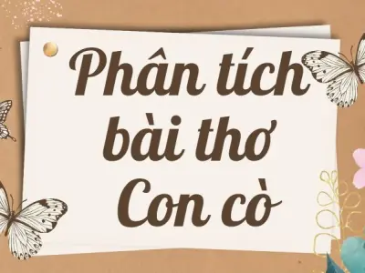 Phân tích bài thơ Con cò lớp 9 chi tiết và dễ hiểu nhất