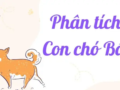 Hướng dẫn phân tích Con chó Bấc lớp 9 đạt điểm cao