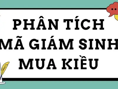 Hướng dẫn phân tích Mã Giám Sinh mua Kiều - Văn mẫu lớp 9